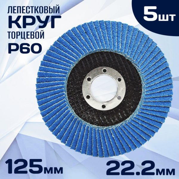 Диск шлифовальный торцевой TechRome, диск шлифовальный 125 х 22.2 мм P60 5 ш