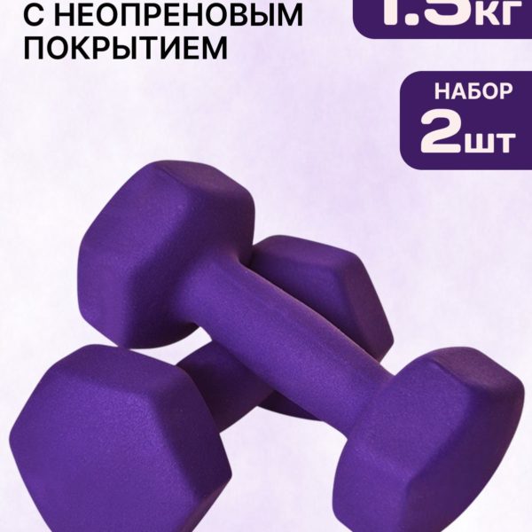 Гантели 2 кг с неопреновым покрытием чугунные неразборные, комплект из 2 гантелей