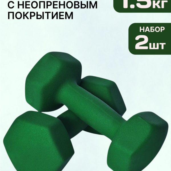 Гантели 2.5 кг с неопреновым покрытием чугунные неразборные, комплект из 2 гантелей